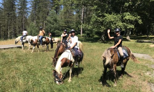 programme vacances juillet 2025